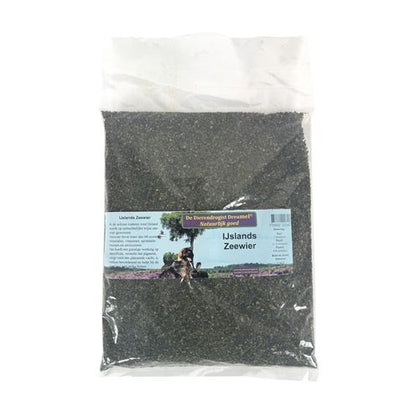 Dierendrogist Ijslands Zeewier