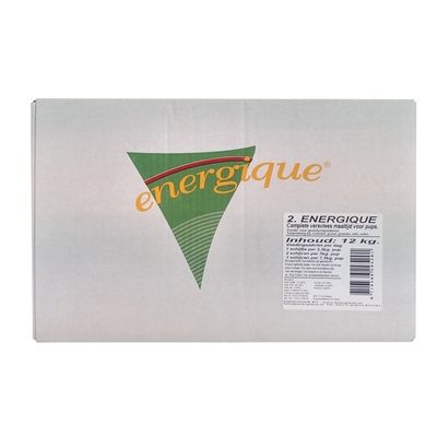 Energique Nr 2 Puppy