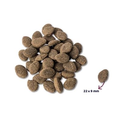 Renske Super Premium Adult Lam Graanvrij Hypoallergeen