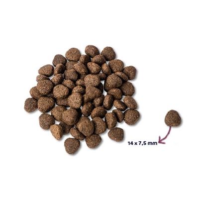 Renske Super Premium Adult Zalm Graanvrij Hypoallergeen