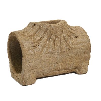 Rosewood Eetbare Speel Boomstam