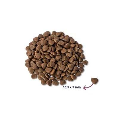 Renske Super Premium Adult Verse Zalm Graanvrij