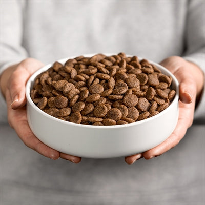 Smolke Sensitive Brokken Lam