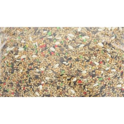 De Vries Grote Parkietenvoer