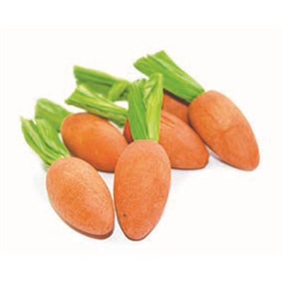 Critter's Choice Happy Pet Carrot Nibblers Knaaghout