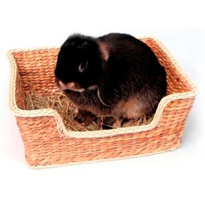 Rosewood Chill 'N' Snooze Knaagdierbed