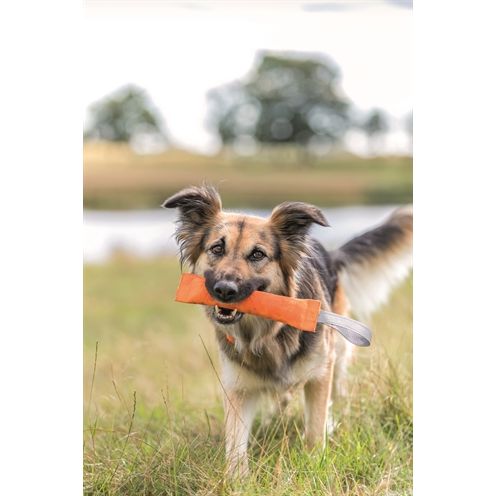 Trixie Sporting Trainingsdummy Assorti