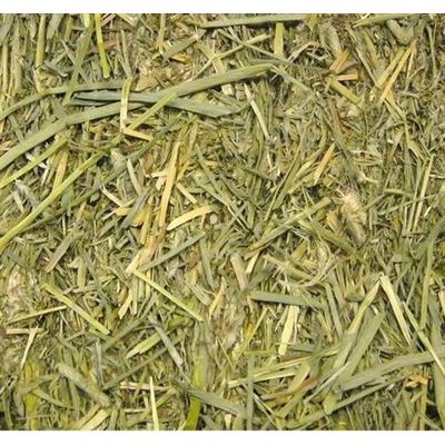 Beaphar Care+ Timothy Hooi