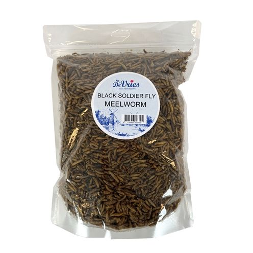 De Vries Meelworm Black Soldier Fly