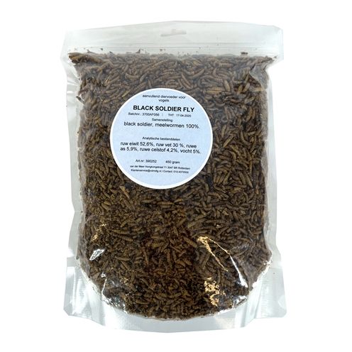 De Vries Meelworm Black Soldier Fly