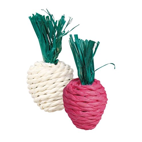 Trixie Radijs En Rettich Met Stro