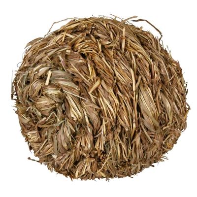 Trixie Grasbal Met Bel