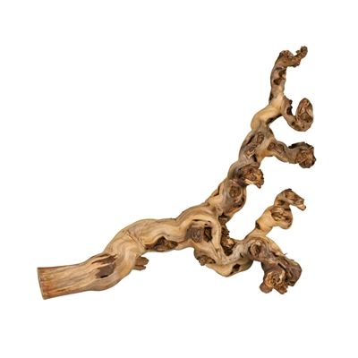 Trixie Druiventakken