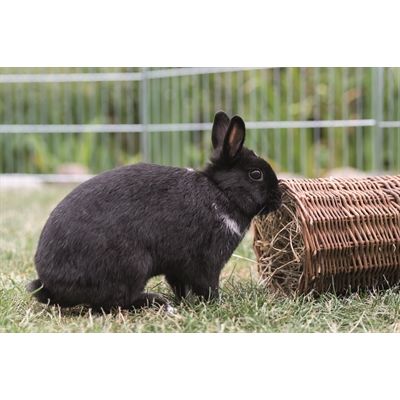 Trixie Wilgentunnel Konijn