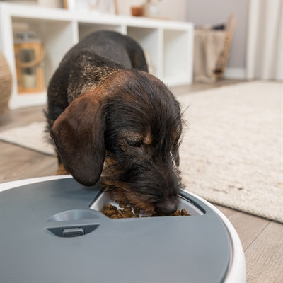 Trixie Tx4+1 Automatische Voerdispenser