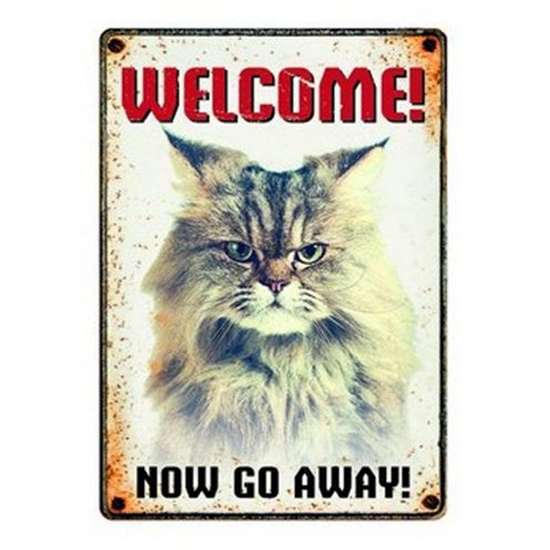 Plenty Gifts Waakbord Blik Grumpy Cat