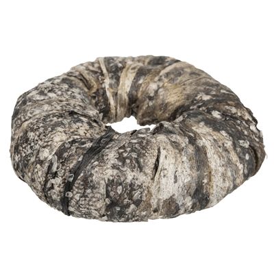 Trixie Denta Fun Kauwring Vis