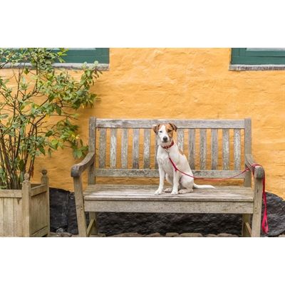 Trixie Hondenriem Premium Rood