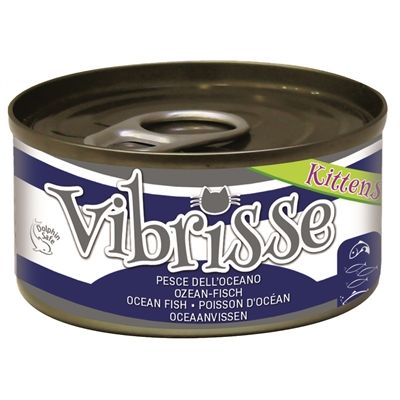 Vibrisse Kittens Cat Oceaanvis
