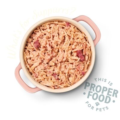 Lily's Kitchen Cat Organic Fish Pate