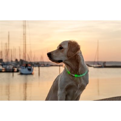 Trixie Lichtgevende Halsband Usb Flash Light Oplaadbaar Tpu Groen