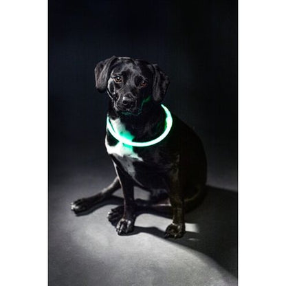 Trixie Lichtgevende Halsband Usb Flash Light Oplaadbaar Tpu Groen