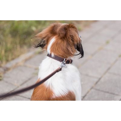 Trixie Hondenriem Rustic Vetleer Donkerbruin