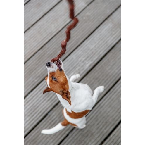 Trixie Premio Picknicks Worstketting Pens