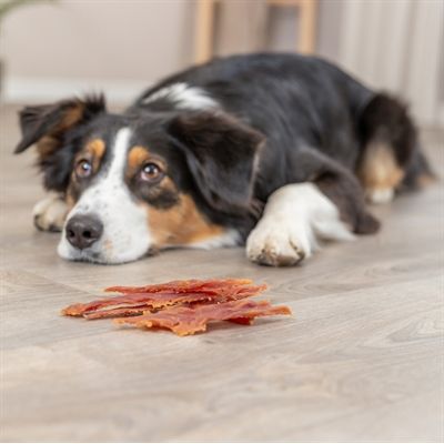 Trixie Premio Ducky Stripes