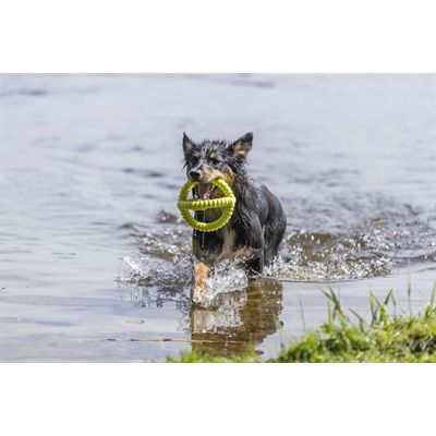 Trixie Aqua Toy Trekspeeltje Tpr Lime