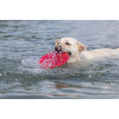 Trixie Dog Disc Drijvend Tpr Assorti