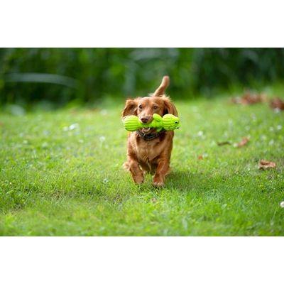 Trixie Latex Kikker-Halter Met Geluid Groen