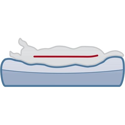 Trixie Vital Ligmat Bendson Orthopedisch Lichtgrijs