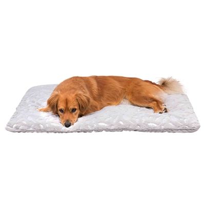 Trixie Ligmat Feather Zilver / Grijs