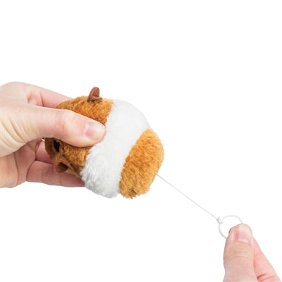 Trixie Bungelspeeltje Assorti