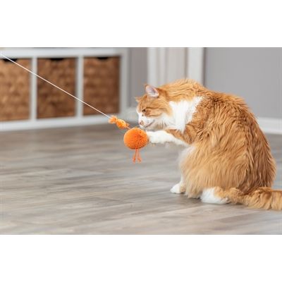 Trixie Kip Aan Elastisch Koord Pluche Met Catnip