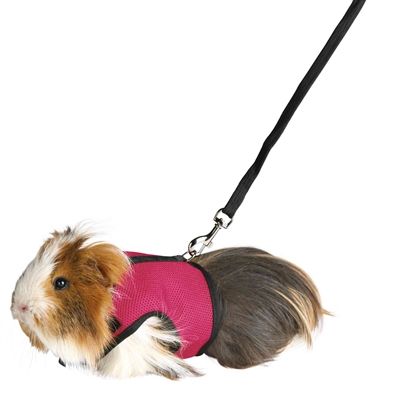 Trixie Softtuig Met Riem Cavia Assorti