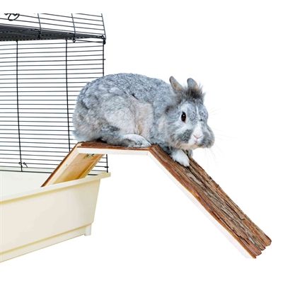 Trixie Kooibrug Konijn Schorshout