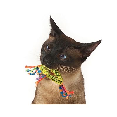 Catstages Catnip Dental Health Chew