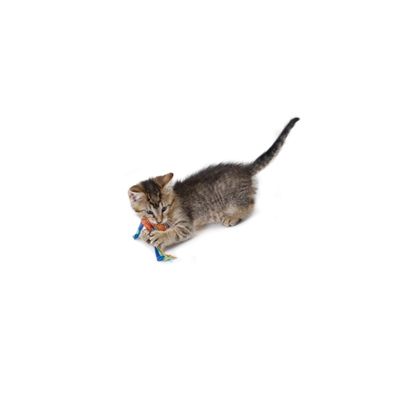 Catstages Catnip Dental Health Chew