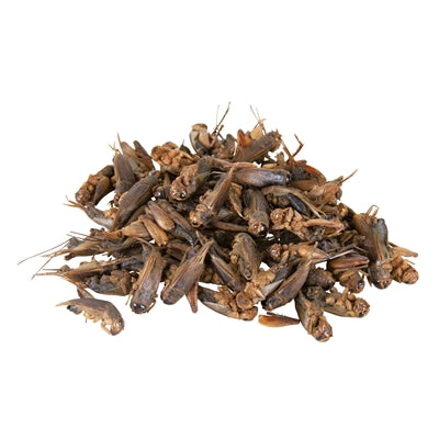 Trixie Reptiland Krekels Gedroogd