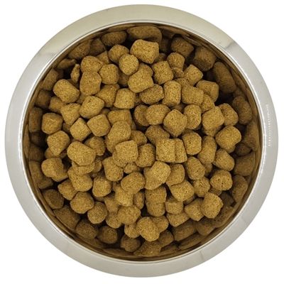 Yourdog Koningspoedel Senior