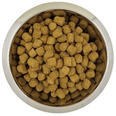 Yourdog Koningspoedel Volwassen