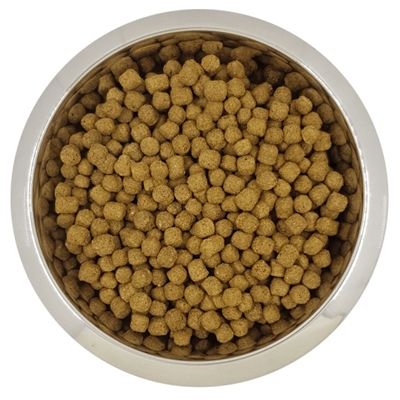 Yourdog Dwerg- Of Toypoedel Senior