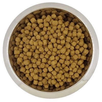 Yourdog Dwerg- Of Toypoedel Volwassen