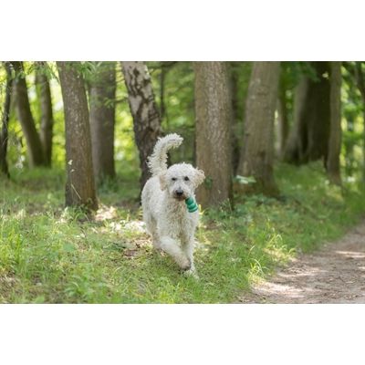 Trixie Be Eco Jumper Bal Drijvend Tpe Assorti