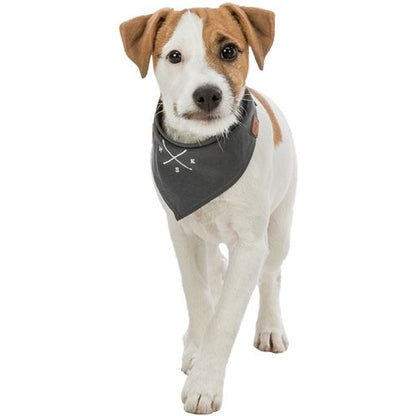 Trixie Bandana Be Nordic Windroos Grijs