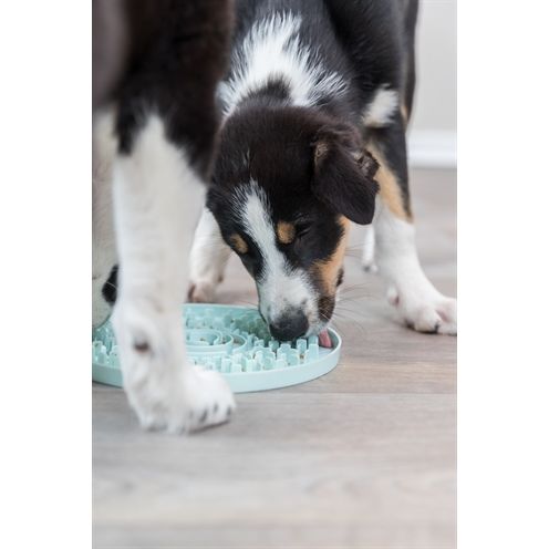 Trixie Junior Likplaat Mintgroen