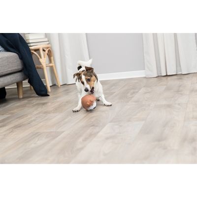 Trixie Hond Latex Assorti