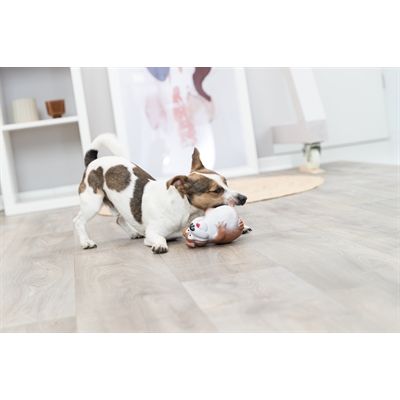 Trixie Hond Latex Assorti